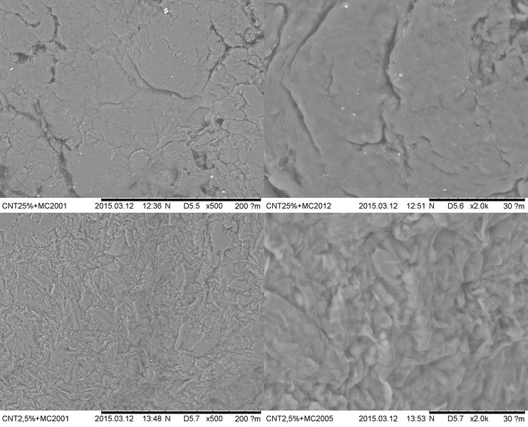 File:Popurrii CNT + MC komposiitide pindadest.jpg