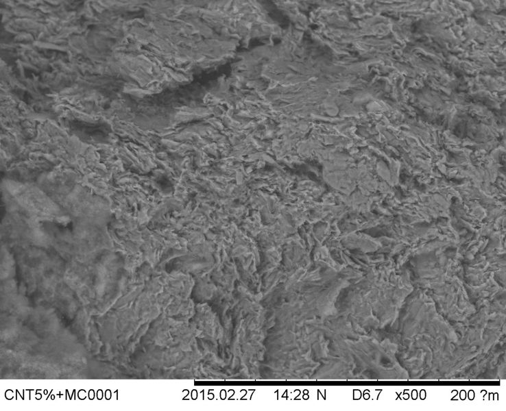 File:CNT5 MC0001 x500 .jpg