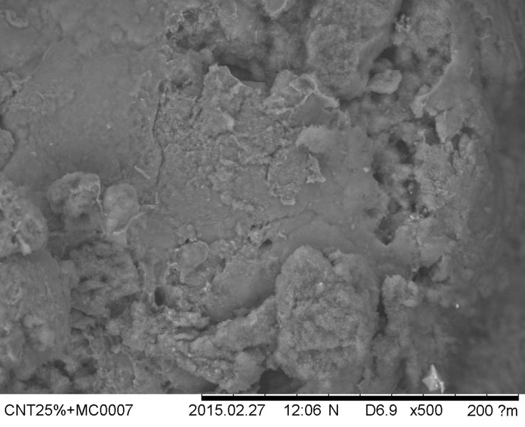 File:CNT25 MC0007 x500 .jpg