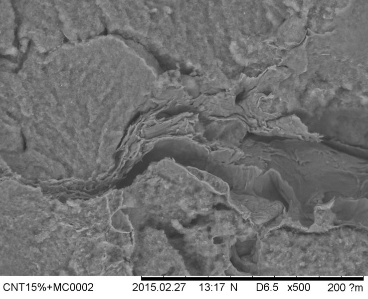 File:CNT15 MC0002 x500 .jpg